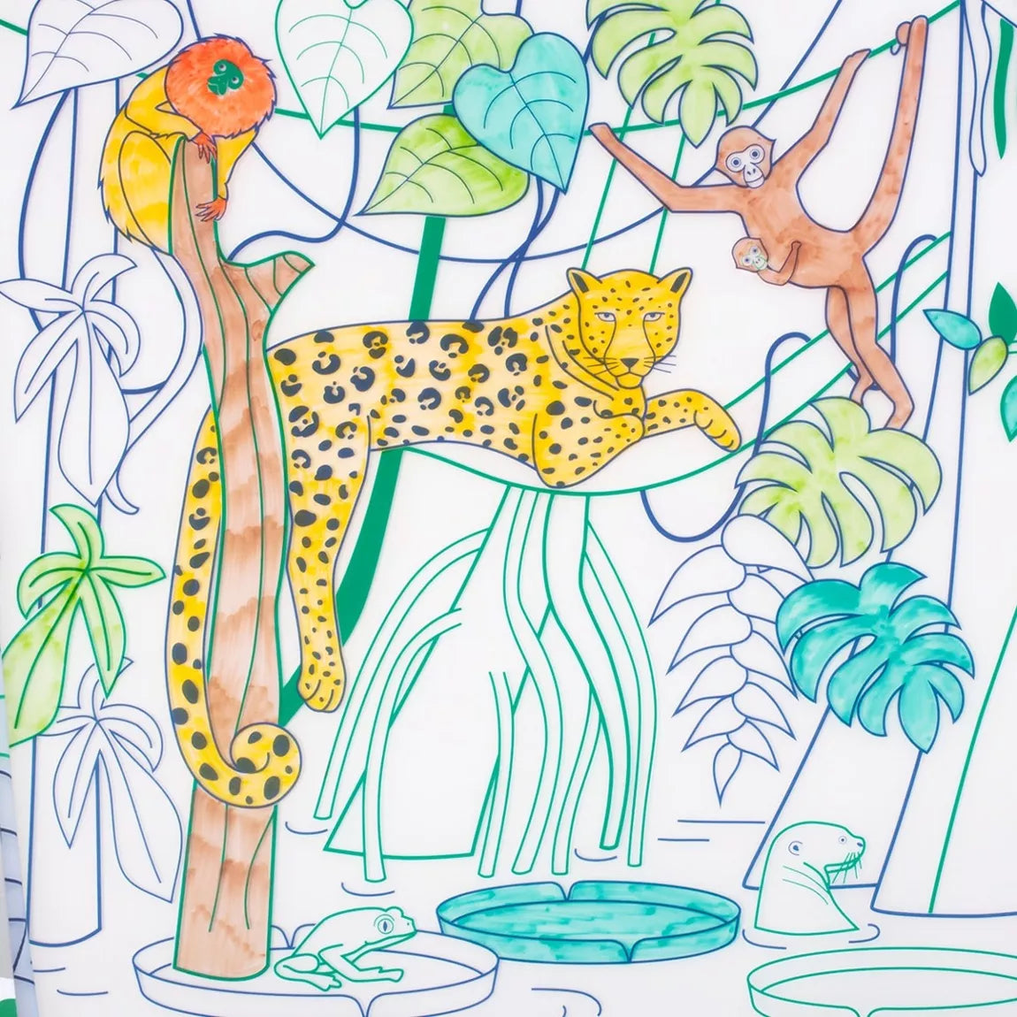 Set de table en silicone à colorier - réutilisable AMAZONIE WILDLIFE